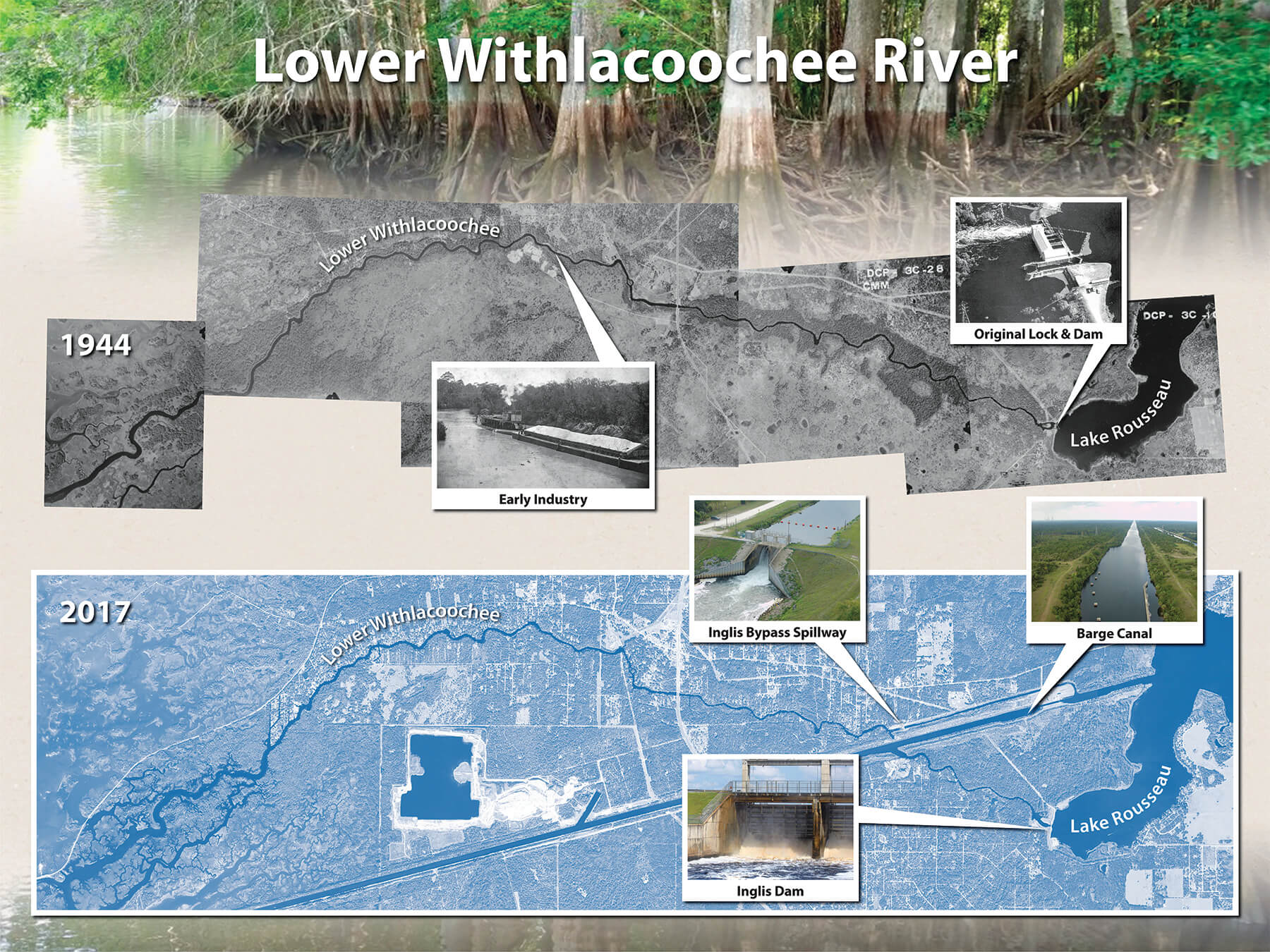 Less freshwater flowing to lower Withlacoochee River - Florida Specifier