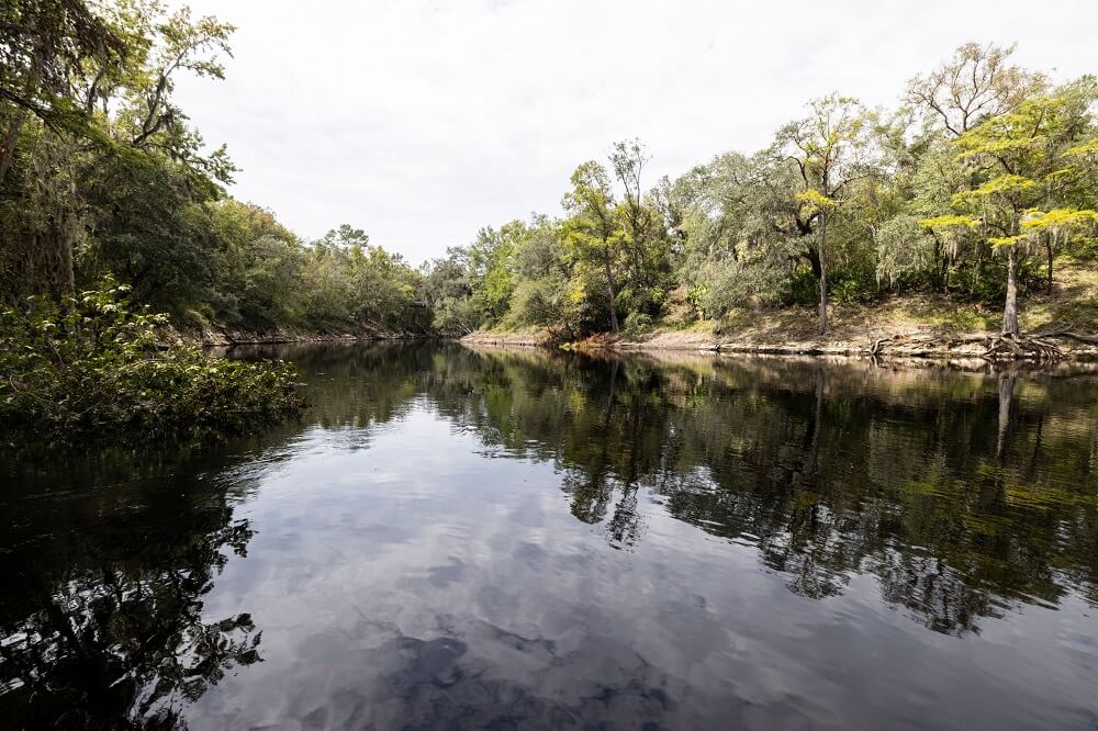 Exploring Nature’s Bounty: Suwannee River Water Management District’s Commitment to Recreation on District Lands