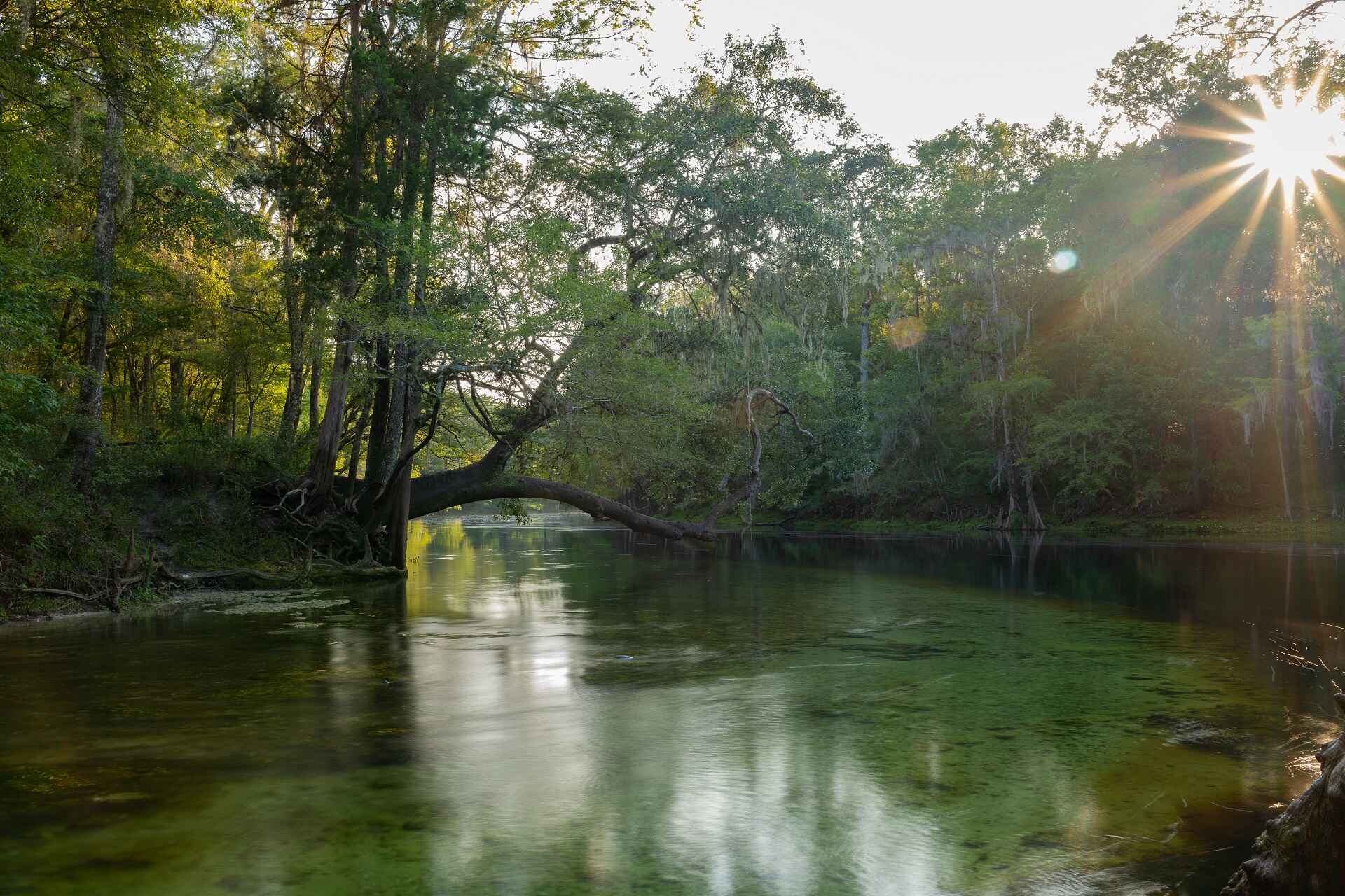 Farmers, District Team Up On Land Stewardship - Florida Specifier