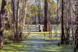 Suwannee River Water