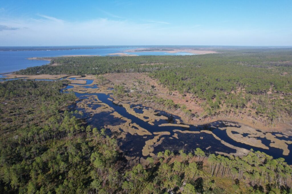 Panhandle’s Water Future