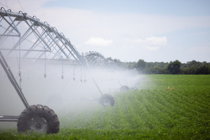 A Liquid Balancing Act: How the Suwannee River Water Management District Safeguards Our Most Precious Resource