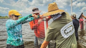 decline of the St. Johns River