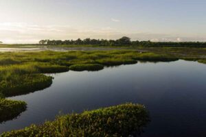 wotus