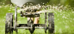 Fertilizing 101 in Florida | Protect Local Waterbodies