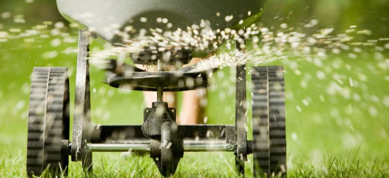 Fertilizing 101 in Florida | Protect Local Waterbodies