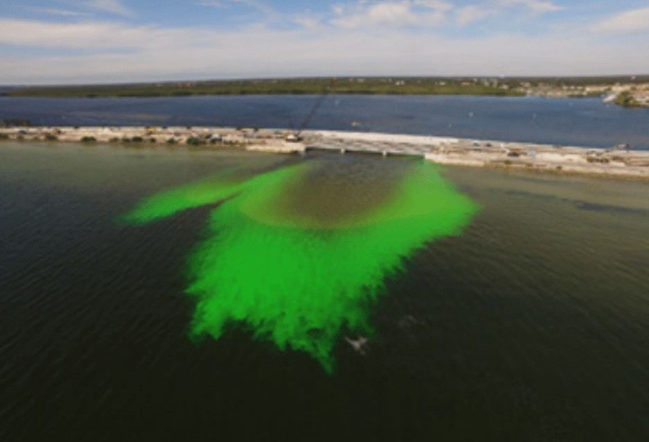 The Florida Department of Transportation’s Old Tampa Bay Water Quality Improvement Project Delivers a Win-Win-Win