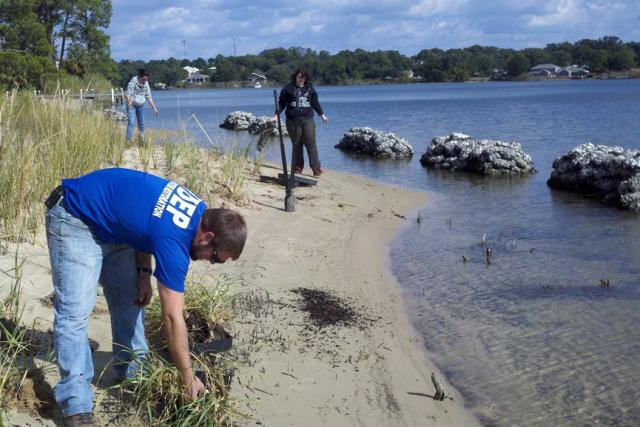 Florida Living Shorelines Permitting Complexity Creates Challenges