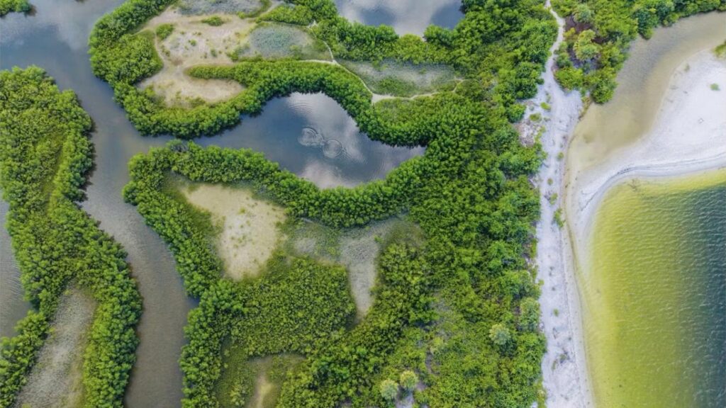 We Asked the Experts: What Will the Final WOTUS Rule Look Like?