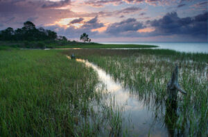 A Florida coastal marsh and wetland grasses at sunset